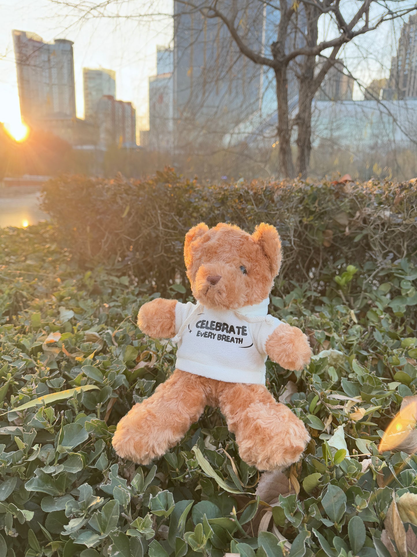 Champ the Bear