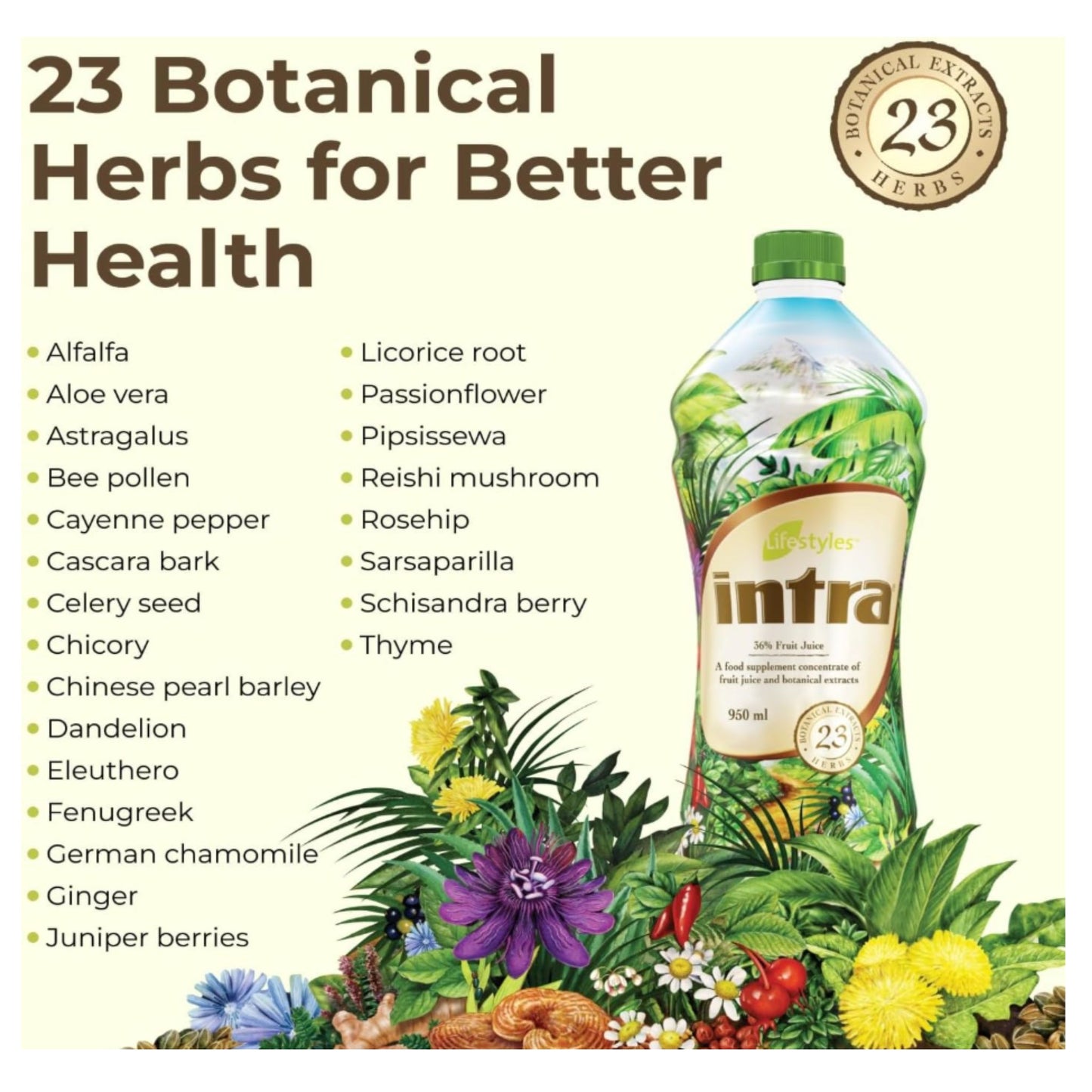 Intra Herbal Juice – Canadian Botanical Wellness Blend